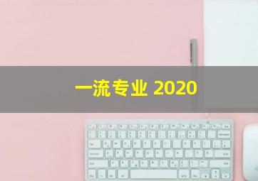 一流专业 2020